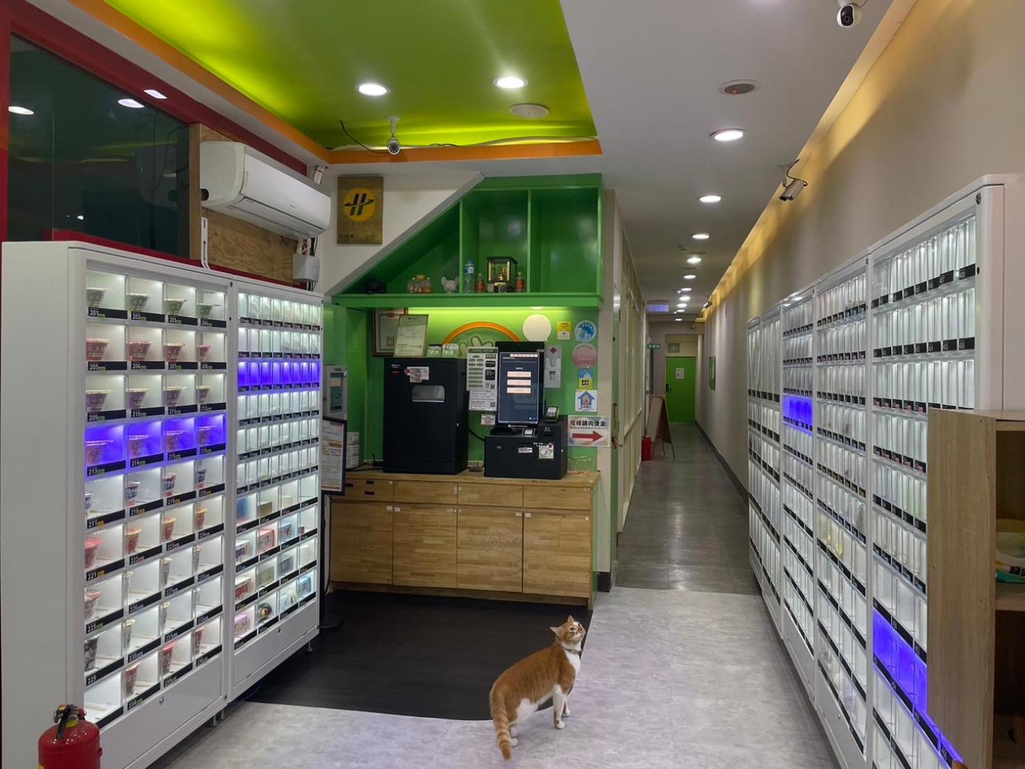 中坜 幸运草时尚旅店酒店 外观 照片